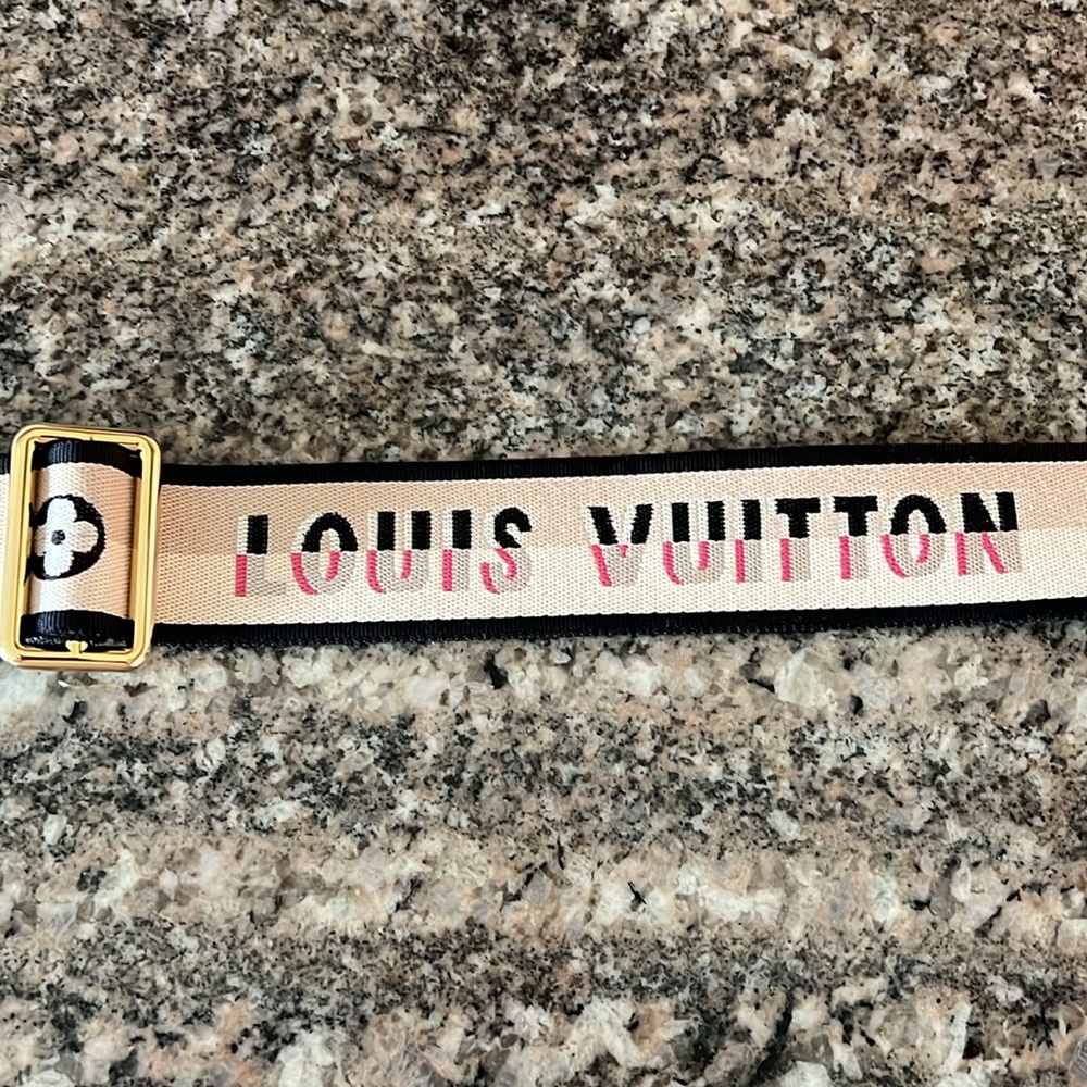 Louis Vuitton Bandouliere Speedy 20 Jacquard Shouder Strap - Picture 6 of 15